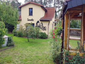 Ferienhaus Seeadler DH-39518, Amt Lubmin